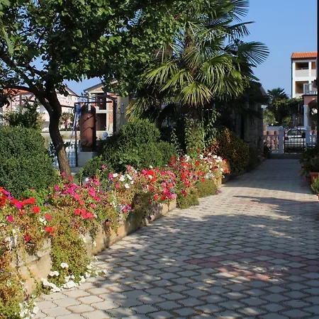 Novigrad 7037b Daire Bužinija