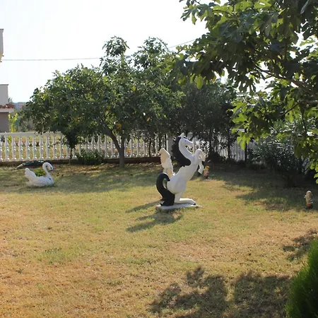 Novigrad 7037b Apartmán