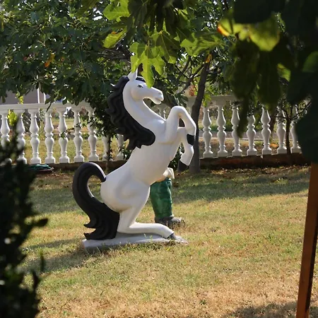 Daire Novigrad 7037b